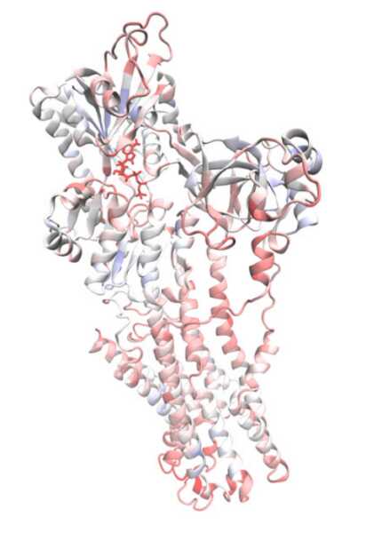 Data from: NetSci: A Library for High Performance Biomolecular Simulation Network Analysis Computation