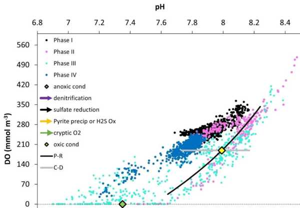 Data from: Metabolic rates in the Agua Hedionda Lagoon during the 2020 Southern California red tide event