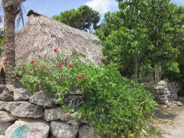 Pueblos Yucatecos