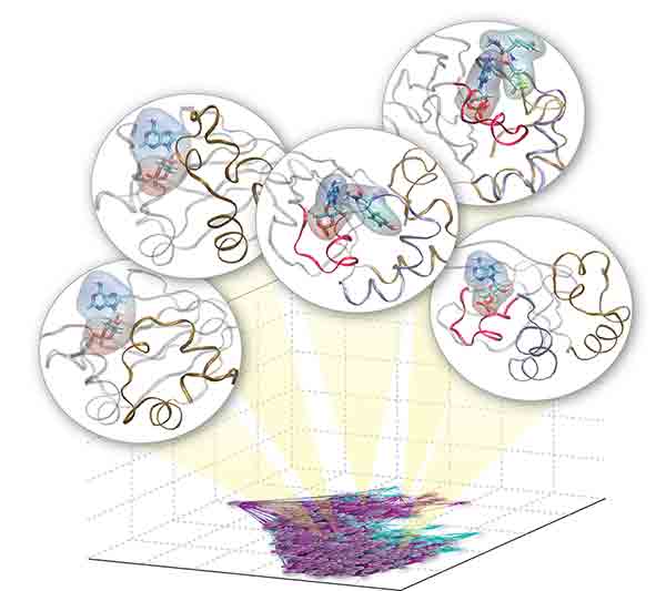 Data from: Allostery through the Computational Microscope: cAMP Activation of a Canonical Signalling Domain