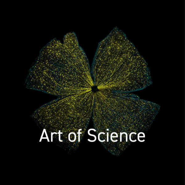 Art of Science