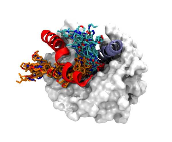 Data from: Prediction of Threonine-Tyrosine Kinase Receptor-Ligand Unbinding Kinetics with Multiscale Milestoning and Meta...